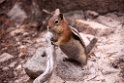 09_Rocky Mountain National Park_06